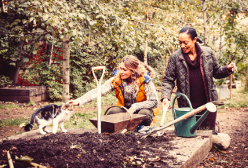 4 common landscaping mistakes and how to avoid them