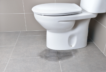 Leaking toilet? How a small leak can cost you upwards of $100,000
